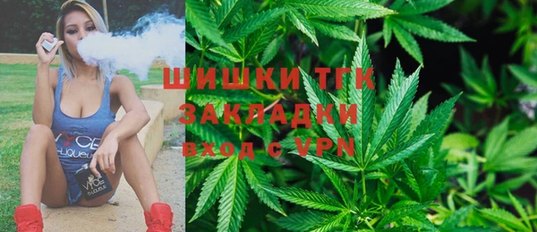 дживик Баксан