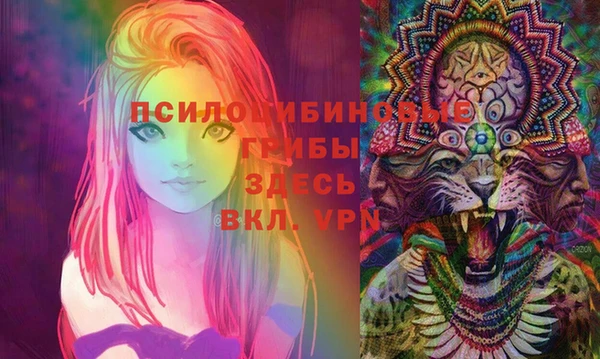дживик Баксан