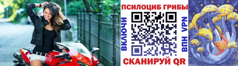 Галлюциногенные грибы Psilocybe  блэк спрут как зайти  Семикаракорск 